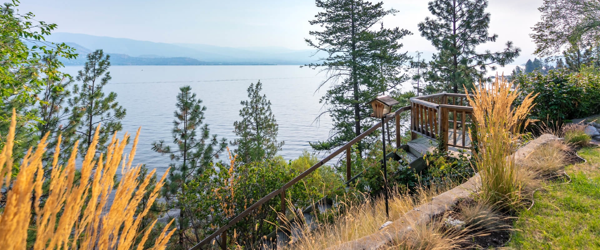 Discovering the Charm of Fernwood: A Guide to Relocating to British Columbia